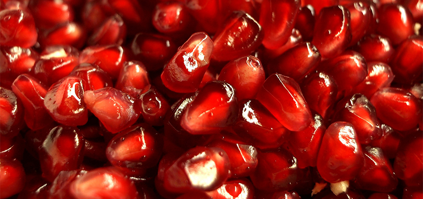 Garnet_850x400
