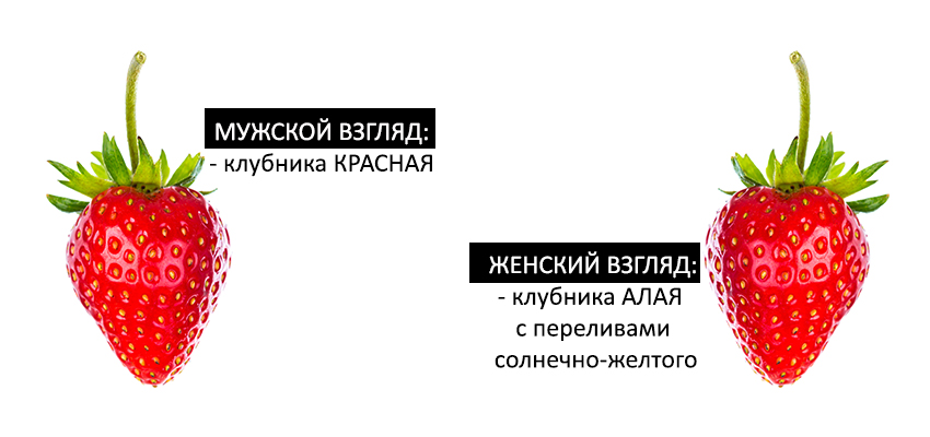 2_